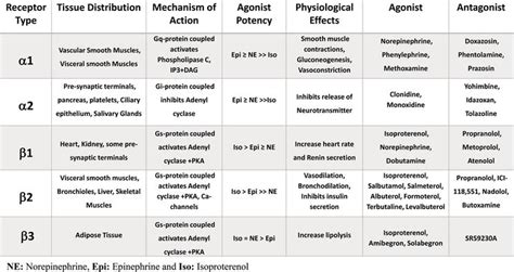 alpha and beta receptors chart